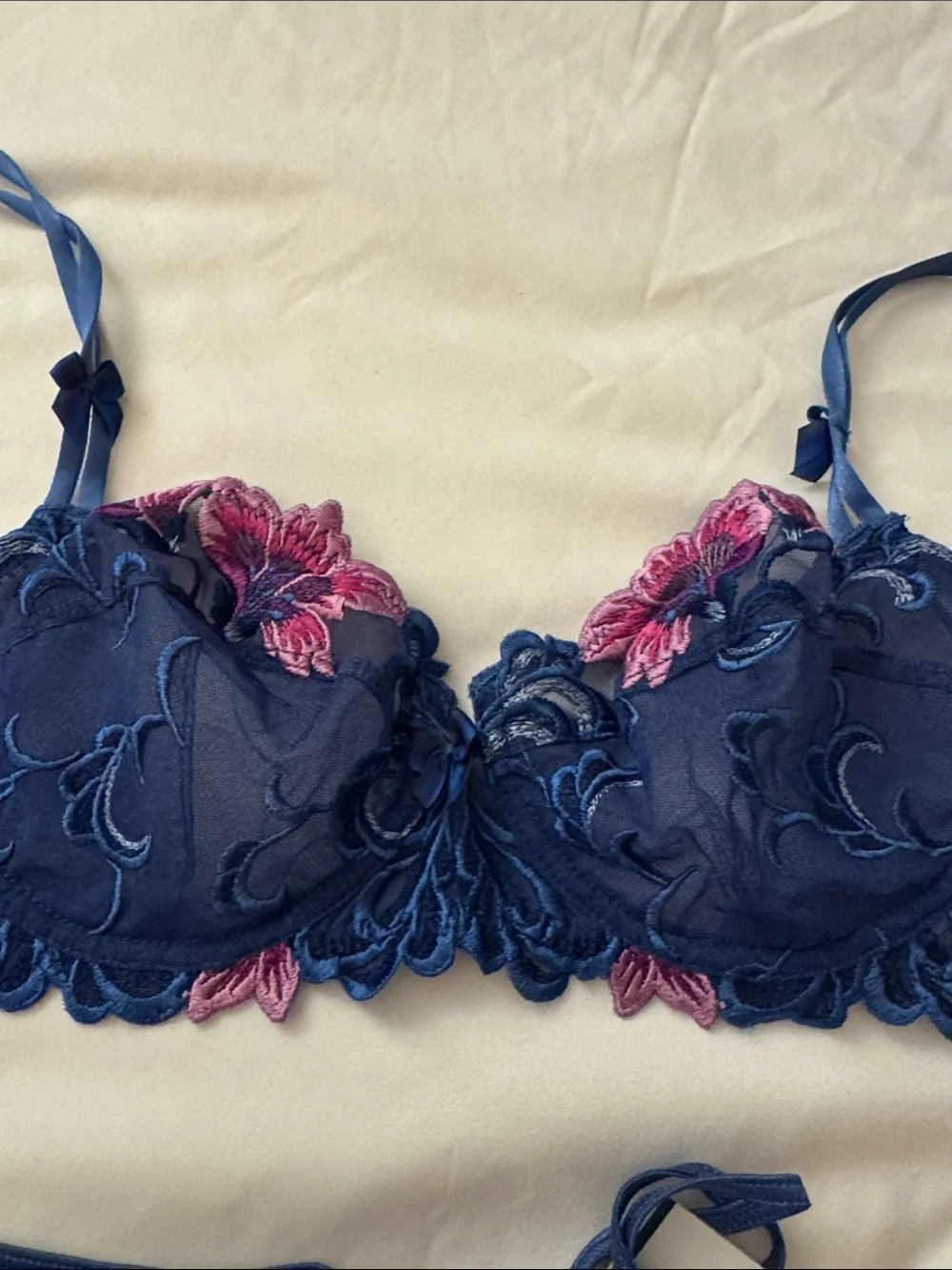 Blue & Pink Embroidered Lace Bra 36B & Thong Set L